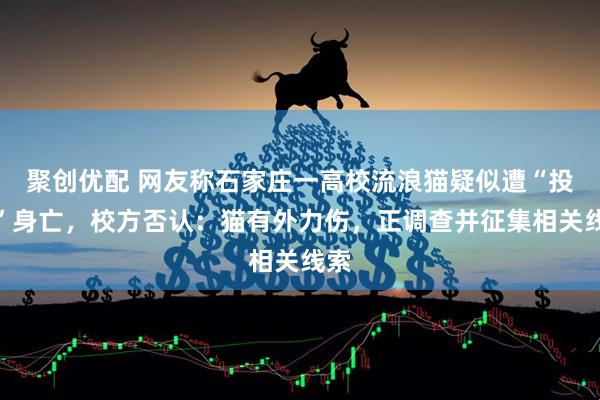 聚创优配 网友称石家庄一高校流浪猫疑似遭“投毒”身亡，校方否认：猫有外力伤，正调查并征集相关线索